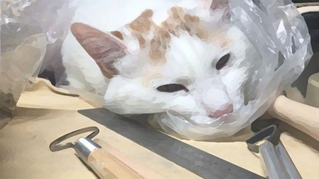 二三味 分享：換氣一下