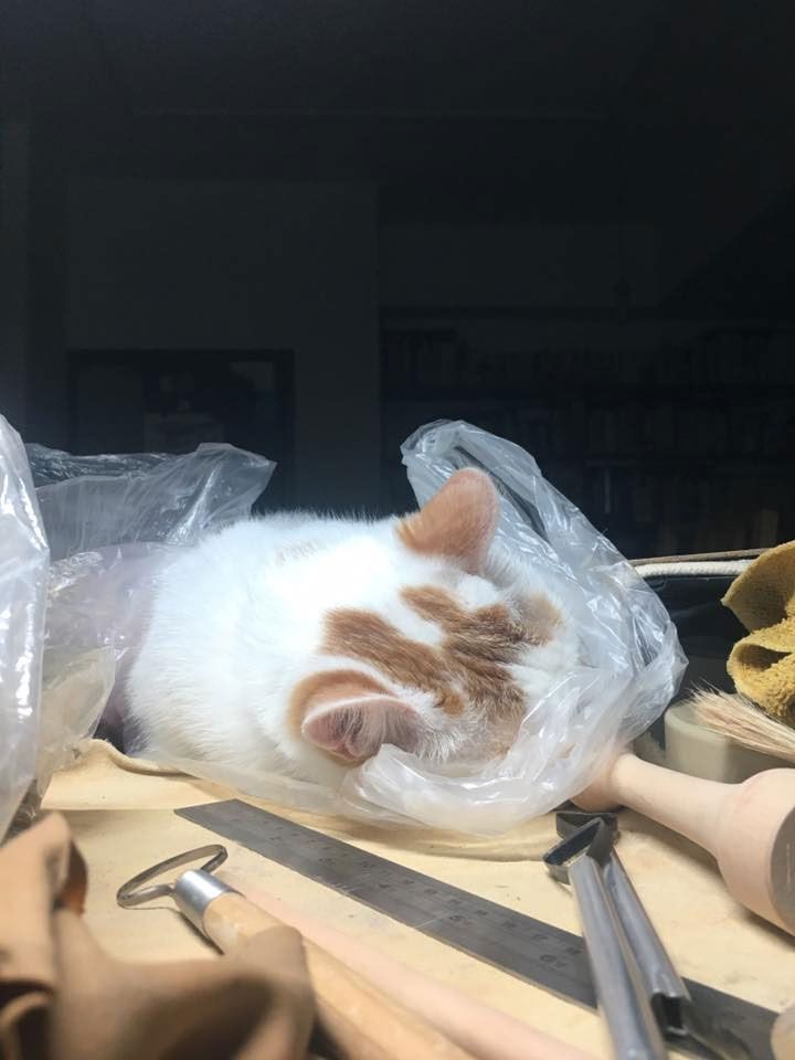 二三味 分享：換氣一下