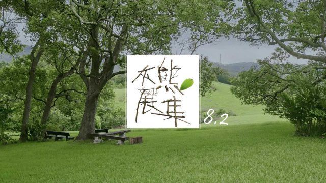 灰熊綠展集 8.2：山精靈の秋 (10/28，苗栗南窩綠丘)