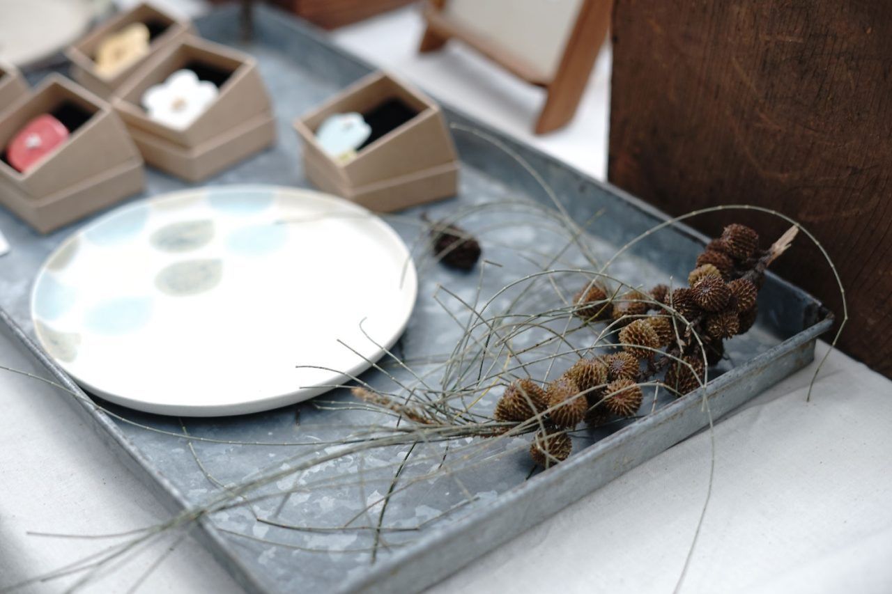 灰熊綠展集9