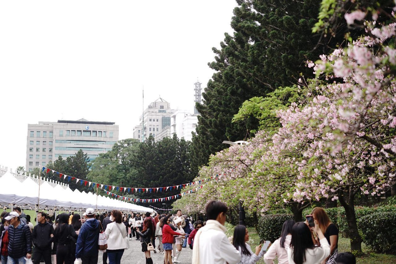 市集展後：一期一會的粉色春日浪漫